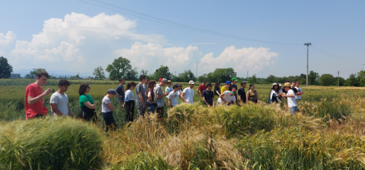 Nuovo doppio titolo in Agricoltura Biologica e Sostenibilità Integrata dei Sistemi Agricoli Nuovo doppio titolo in Agricoltura Biologica e Sostenibilità Integrata dei Sistemi Agricoli